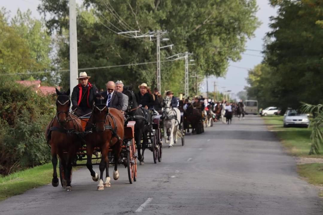 Szazszorszep Vendeghaz Csongrad